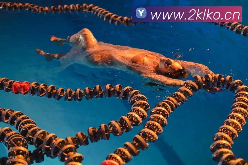 多媒体互动体验